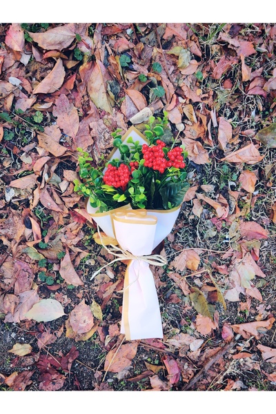 Bondebut flower Kokina Yılbaşı Şans Buketi