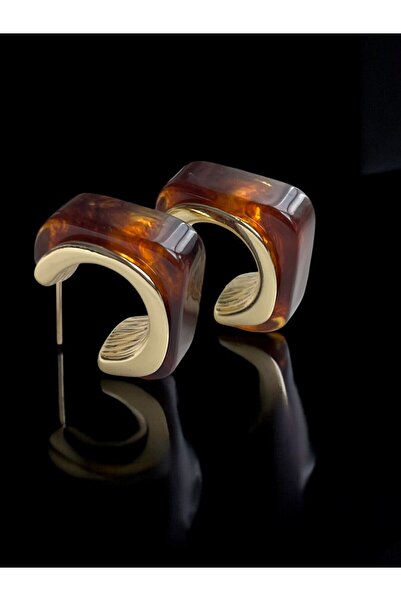 NAİFTAKIAKSESUAR Women's Brown Bone Square Steel Earrings