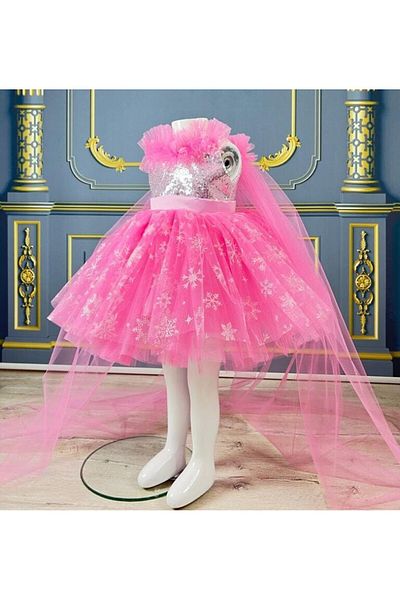 Star Kids Frozen Elsa Girl Dress