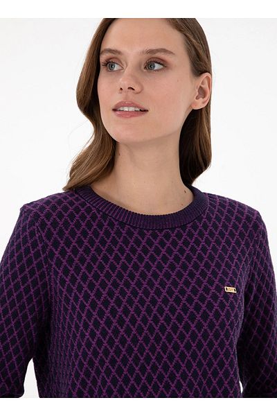 U.S. Polo Assn. Navy Blue Checkered Us Polo Sweater - Aysımonline