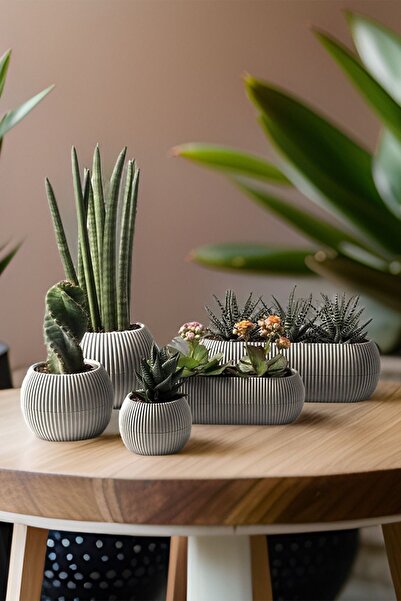 TEMMUZ HOME Ev Dekorasyonu Karasu Dekoratif Ve Modern Mercan Saksı Seti 5 Parça