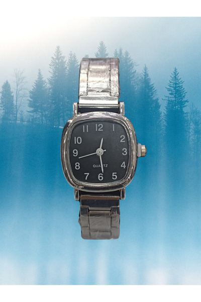 staınless steel Saat