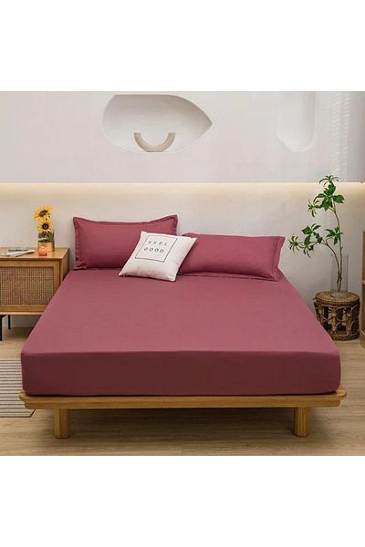 Prime Sleeks Single 100% Cotton Sheet - Elastic, 100x200 cm, Pillow Case 1 Piece