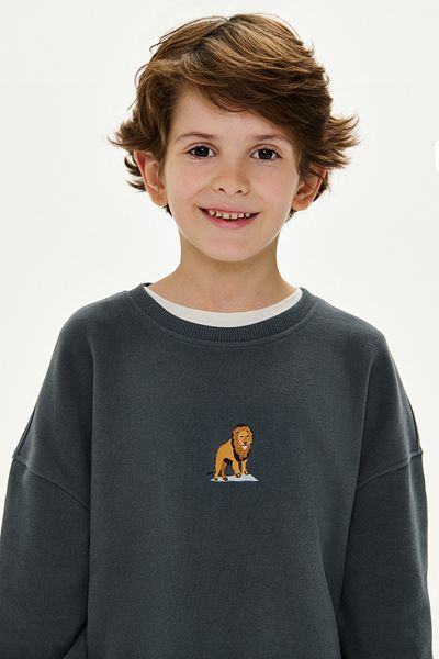 WWF Market Lion Supersoft Kids Sweatshirt - Anthracite Color