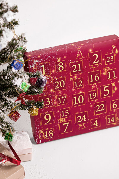 Elika Silver Kadın 24'lü Hediye Seti - Advent Calendar - Charm Hediye Kutusu - 1 Adet Sürpriz 925 Ayar Gümüş Ürün