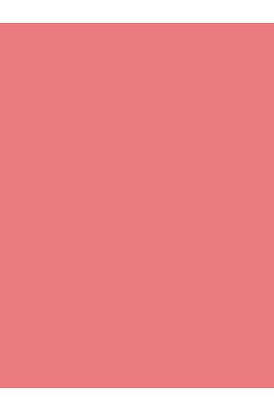 WET N WİLD Megaglo Liquid Lip & Cheek Lip and Cheek Coloring Liquid Blush-Liquid Lipstick