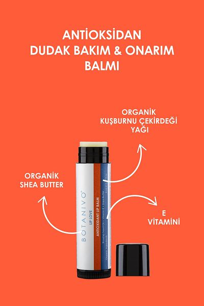 Botanivo Antioxidant Lip Care & Repair Balm |   Moisturizing, Nourishing, Protective |   Organic |   5ml Stick