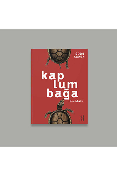 Ketebe Kaplumbağa Ajandası 2024 Kolektif