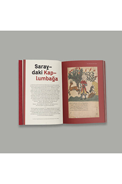 Ketebe Kaplumbağa Ajandası 2024 Kolektif