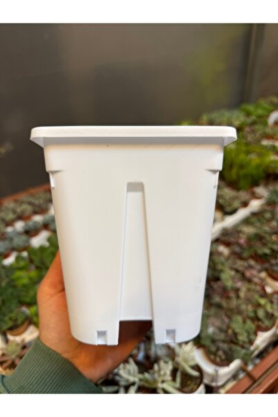 SukuLand Beyaz Kare Saksı Hobi 10 Adet 12x12x13,5cm