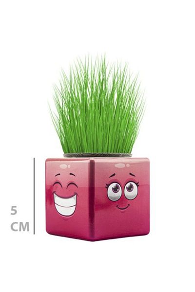 Acousticworld Grass Man Mini Cube με Emoji Figure 1 Τεμάχιο