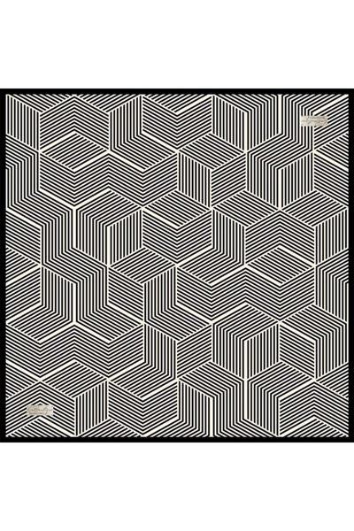 LA BOUTIQUE 2047 ШАРФ З ШОВКУ 11