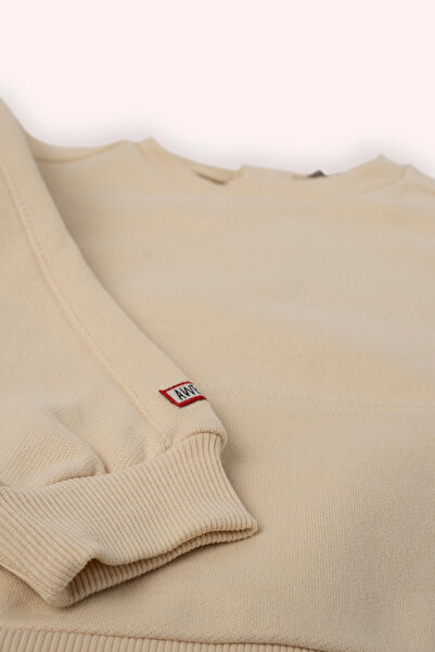Panço Baby Boy Crew Neck Beige Sweatshirt with Pocket Detail