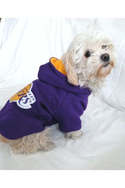 PATİBÖR Hooded Purple Basketball Dog Apparel Sweatshirt