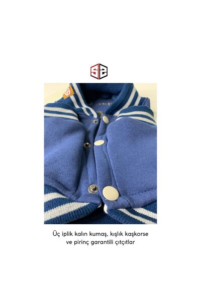 salya store Köpek Kıyafeti, Be Humble Köpek College Ceket, Küçük Irk Köpek Kıyafeti