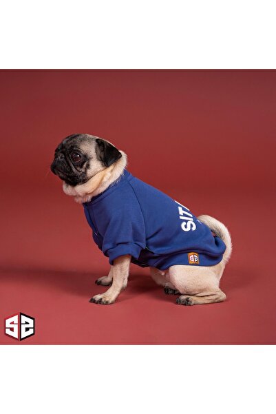 salya store Köpek Kıyafeti, Be Humble Köpek College Ceket, Küçük Irk Köpek Kıyafeti