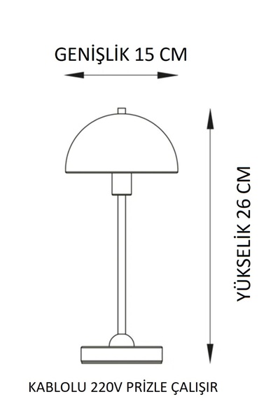 burenze Modern Tasarım Mini Mars Abajur Kablolu Aç Kapa Butonlu Fişli Eskitme Gold