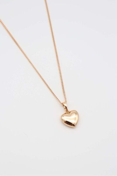 zlyaccessories Altın Renk Kalp Çelik Kolye – VIP / Paslanmaz Çelik / Kadın Ak...