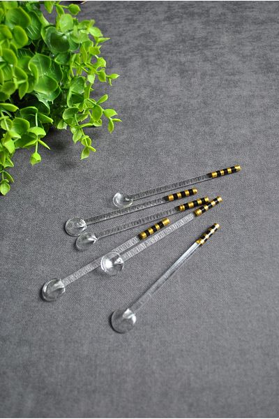 Purelegant 6 Pieces Gold Color Embroidered Glass Tea and Presentation Spoons