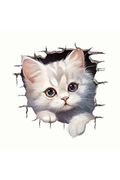 Hobi Dünyası 3D Araba Çıkartması Kedi Desen Çizilmeye Suya Dayanıklı Otomobil...