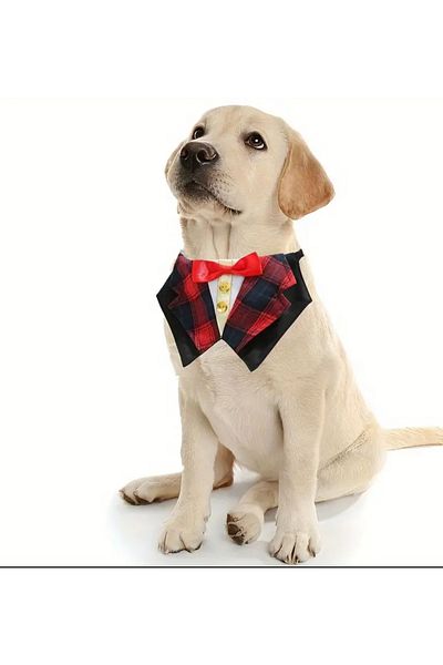 Animalovers English Style Adjustable Stylish Pet Suit Suitable for Cats and Dogs