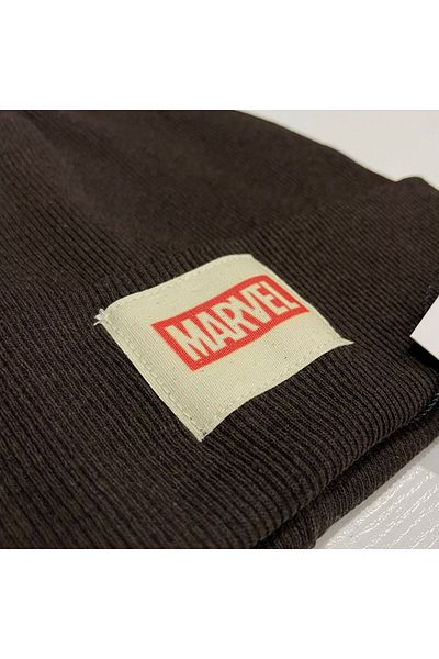 Blue Ocean Men's 1-6 Years Old Child Marvel Label Beanie Neck Collar Set