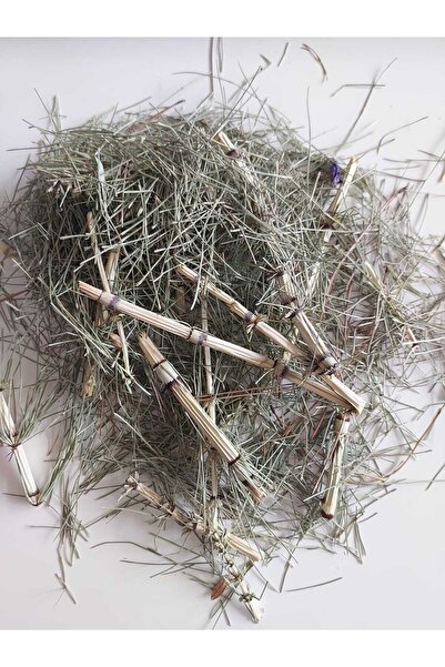 VIOLA TOHUM ve BAHARAT Doğal Kuru Kırkkilit Otu (AT KUYRUĞU)