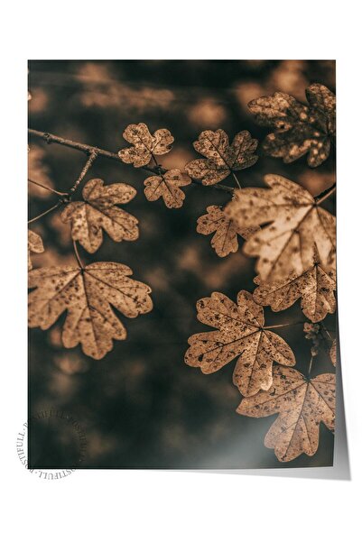 Postifull Rustic Çerçevesiz Poster, Iskandinav Kahverengi Tablo, No:474 Yapra...