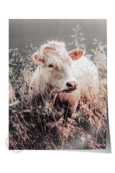 Postifull Poster rustic fără rame, pictură nordică maro, NR:244 Fotografie cu...