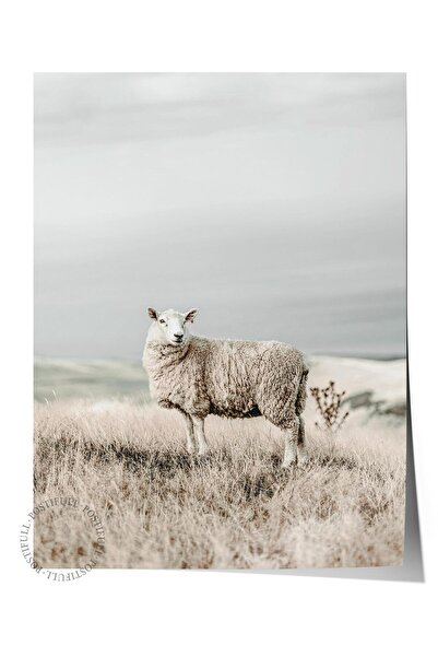 Postifull Rustic Unframed Poster, Scandinavian White Painting, No:302 Buffalo...