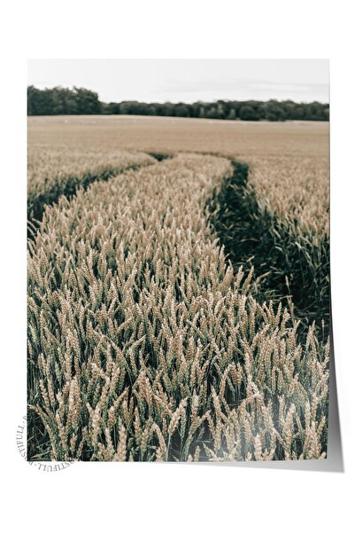 Postifull Rustic Çerçevesiz Poster, İskandinav Kahverengi Tablo, NO:205 Tarla...