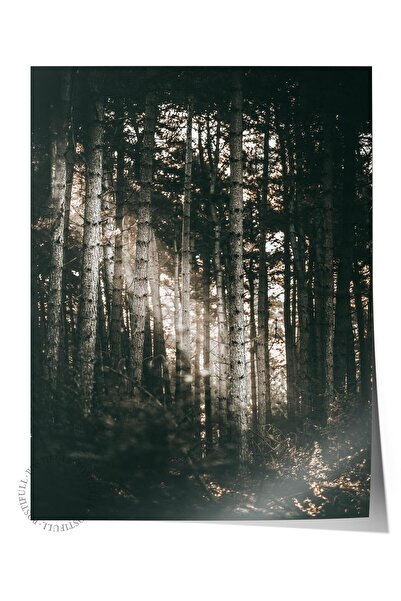 Postifull Poster rustic fără rame, pictură nordică maro, nr:463 Fotografie de...