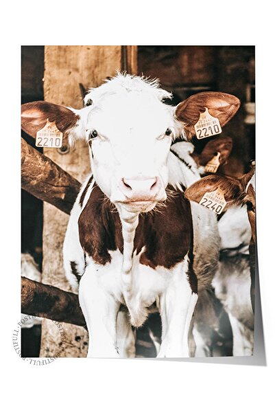 Postifull Poster rustic fără rame, pictură nordică maro, NR:207 Fotografie de...