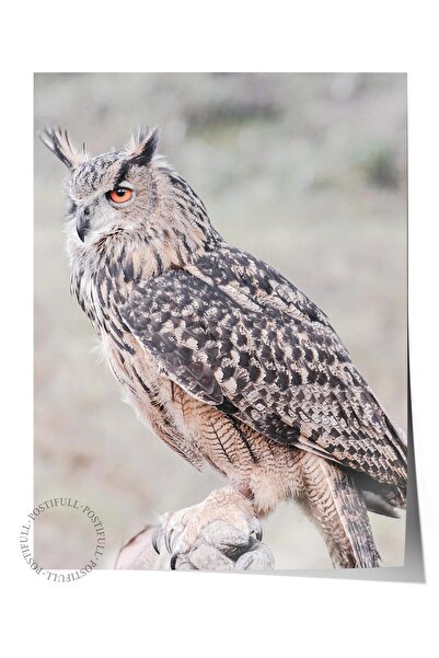 Postifull Poster rustic fără rame, pictură nordică albă, NR:381 Fotografie cu...