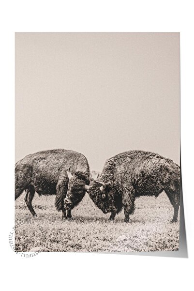 Postifull Poster rustic fără rame, pictură nordică maro, NR:273 Fotografie cu...