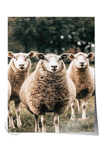 Postifull Poster rustic fără ramă, pictură nordică maro, NR:209 Fotografie cu...