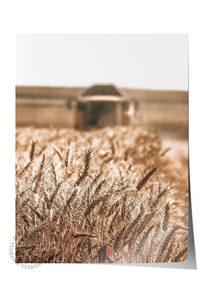 Postifull Rustic Çerçevesiz Poster, İskandinav Kahverengi Tablo, NO:148 Tarla...