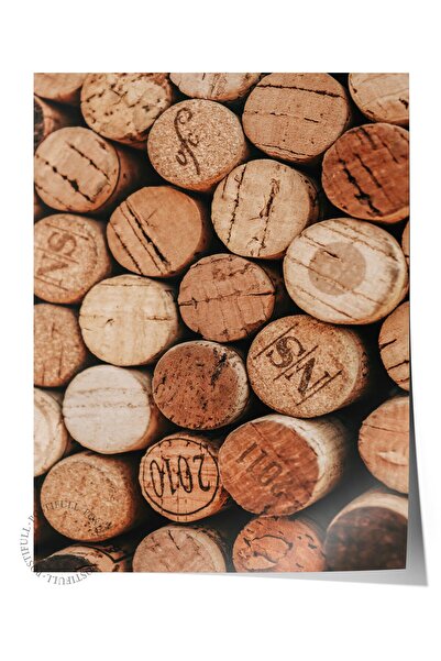 Postifull Rustic Çerçevesiz Poster, Iskandinav Kahverengi Tablo, No:436 Kütük...