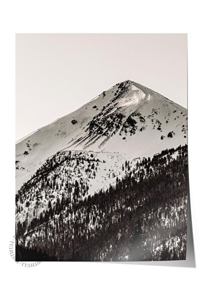 Postifull Rustic Çerçevesiz Poster, İskandinav Siyah ve Beyaz Tablo, NO:289 D...