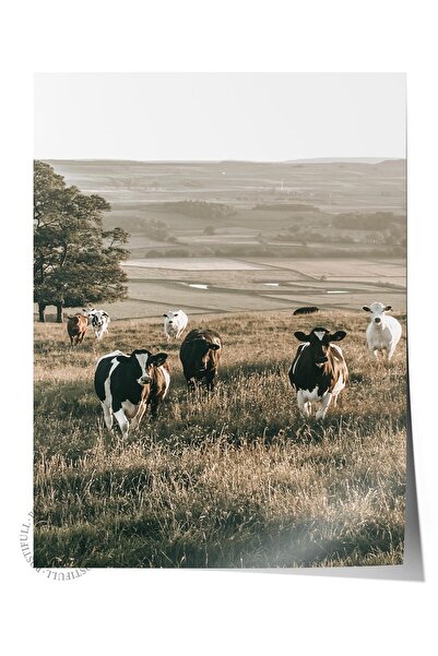 Postifull Poster rustic fără ramă, pictură nordică maro, NR:228 Fotografie cu...