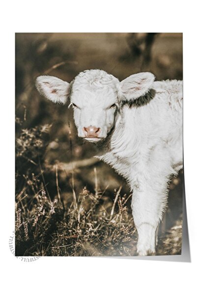 Postifull Poster rustic fără rame, pictură nordică maro, NR:215 Fotografie în...