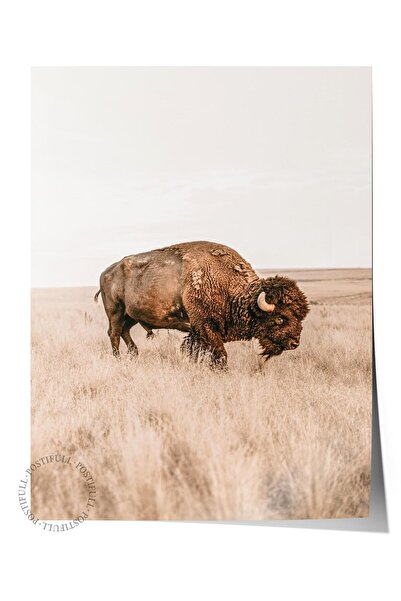 Postifull Poster rustic fără rame, pictură nordică maro, NR:380 Fotografie cu...