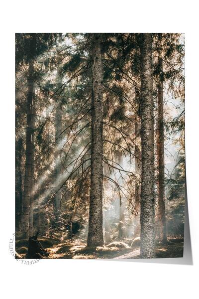 Postifull Rustic Çerçevesiz Poster, Iskandinav Kahverengi Tablo, No:428 Orman...