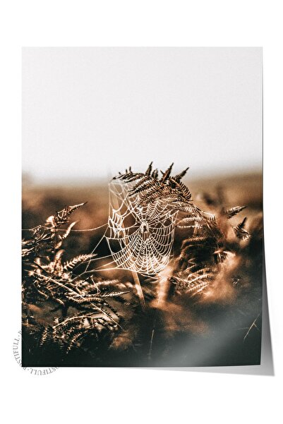 Postifull Poster rustic fără ramă, pictură nordică maro, nr:483 Fotografie na...