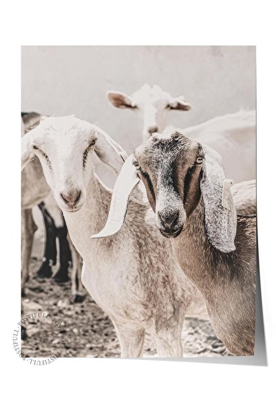 Postifull Poster rustic fără ramă, pictură nordică albă, NR:305 Fotografie cu...