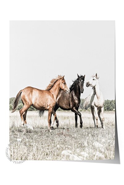 Postifull Poster rustic fără rame, pictură nordică albă, NR:392 Fotografie cu...