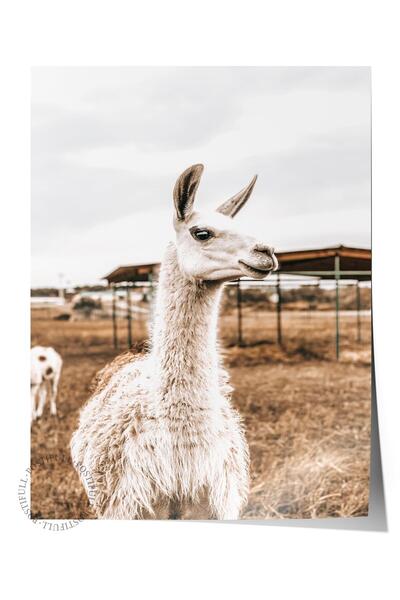 Postifull Poster rustic fără rame, pictură albă nordică, nr:430 Fotografie cu...