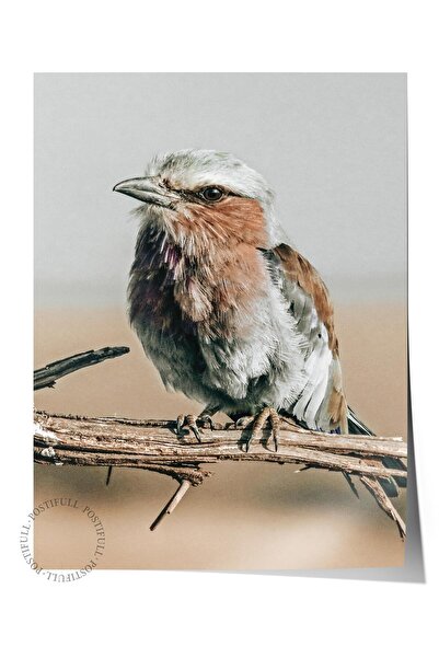 Postifull Poster rustic fără rame, pictură nordică maro, nr:433 Fotografie cu...