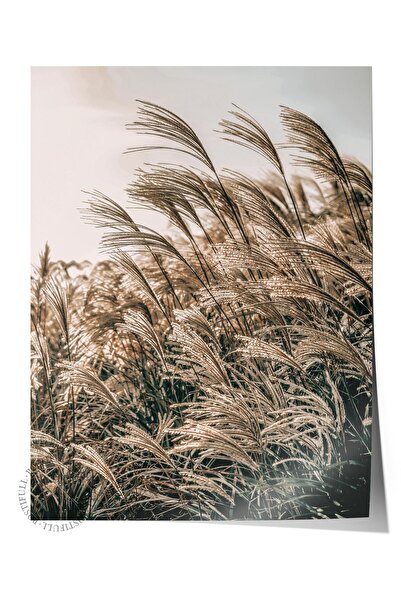 Postifull Poster rustic fără rame, pictură nordică maro, NR:400 Fotografie Sa...