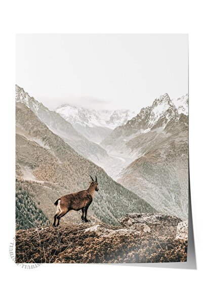 Postifull Rustic Çerçevesiz Poster, İskandinav Kahverengi Tablo, NO:171 Dağ v...